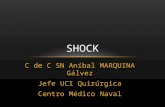 C de C SN Aníbal MARQUINA Gálvez Jefe UCI Quirúrgica Centro Médico Naval SHOCK.
