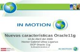 1 Nuevas características Oracle11g 13 de Abril del 2009 Hector Gabriel Ulloa Ligarius OCP Oracle 11g hulloa@inmotion.cl.