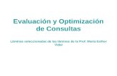 Evaluaci³n y Optimizaci³n de Consultas Lminas seleccionadas de las lminas de la Prof. Mar­a Esther Vidal