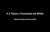 4.1 Tipos y funciones de RNAs Ricardo Márquez Gómez 205258.