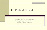 La Poda de la vid. Jumilla, mayo-junio 2009. Julio Pérez Marín.