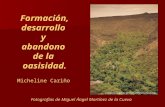 Formación, desarrollo y abandono de la oasisidad. Micheline Cariño Fotografías de Miguel Ángel Martínez de la Cueva.