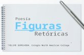 Figuras Poesía “FELIPE SEPÚLVEDA. Colegio North American College” Retóricas.