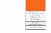Metodología de la Enseñanza en la Educación Especial MÓDULO I Introducción al Curso Prof. Jessica Díaz Vázquez.