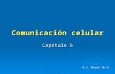 Comunicación celular Capítulo 6 R.J. Mayer Ph.D..