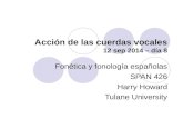 Acción de las cuerdas vocales 12 sep 2014 – día 8 Fonética y fonología españolas SPAN 426 Harry Howard Tulane University.