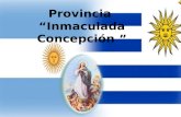 Provincia “Inmaculada Concepción ”. WALTER Hno. CLAUDIO Hno. ARTURO Hno. CARLOS DANIEL