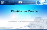 Plantilla en Moodle Personalización en diseño visual y comportamiento de la plantilla.