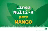 Línea Multi-K paraMANGO (Línea Multi-K: Mult-K Classic, multi-NPK, Multi-KMg, Multi-KZn, Multi-KZnB, Haifa-Bonus)