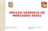 NÚCLEO GERENCIA DE MERCADEO 45951 MBA. GUSTAVO CELÍN VARGAS 1 ENERO 26 DE 2015.