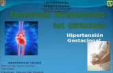044 - Enfermedad hipertensiva en el Embarazo