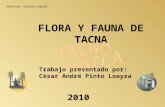 Tacna Flora Yfauna Legal