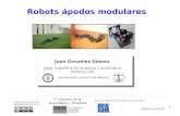 2010 10 29 Robots Modulares UCLM