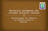 Bacterias patógenas del sistema nervioso central