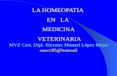 Homeopatìa tratamiento de diarreas pp