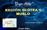 Anatomía Grupo Atlas Clase 2-3 Muslo y Región Glútea