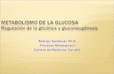 Procesos Biologicos - 17 - Gluconeogenesis.01.06.09