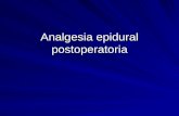 Analgesia Epidural Postoperatoria1