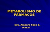 Clases de Metabolismo de Drogas 2008 Amparo