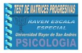 Test - Raven Matrices Progresivas