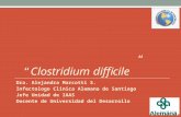 “Clostridium difficile” Dra. Alejandra Marcotti S. Infectologo Clinica Alemana de Santiago Jefe Unidad de IAAS Docente de Universidad del Desarrollo.