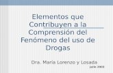 Elementos que Contribuyen a la Comprensión del Fenómeno del uso de Drogas Dra. María Lorenzo y Losada Julio 2003.