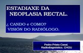 Pedro Prieto Casal. Radiodiagnóstico. CHOU ESTADIAXE DA NEOPLASIA RECTAL. ¿ CANDO e COMO? VISIÓN DO RADIÓLOGO.