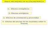 1.- Efectos energéticos 2.- Efectos entrópicos 3.- Efectos de orientación y proximidad 4.- Efectos del anclaje de los Sustratos sobre la Enzima Tema-6.