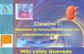 Cistatina C: Marcador de funcionalidad renal y/o enfermedad cardiovascular MSc.Leidy Quevedo.