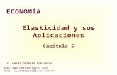 Elasticidad y sus Aplicaciones Capitulo 5 ECONOMÍA Lic. César Octavio Contreras Web:  Mail: c_contreras@live.com.mx.
