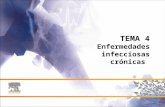 TEMA 4 Enfermedades infecciosas crónicas. Las enfermedades infecciosas endémicas existen en situaciones de equilibrio ecosanitario, y mantienen tasas.