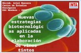 Nuevas estrategias biotecnológicas aplicadas en la elaboración de vinos tintos Microb. Ariel Massera Centro de Estudios Enológicos EEA Mendoza - INTA.