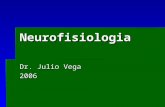 Neurofisiologia Dr. Julio Vega 2006. INTRODUCCIÓN  El sistema nervioso central (SNC) comprende el cerebro y la médula espinal y está constituido por.