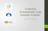 Coalición Comunitaria “Luis Donaldo Colosio” Nogales, Sonora. Diagnóstico Comunitario.