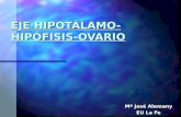EJE HIPOTÁLAMO- HIPÓFISIS-OVARIO Mª José Alemany EU La Fe.