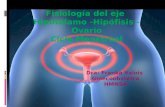 Fisiología del eje Hipotálamo -Hipófisis - Ovario Ciclo Menstrual Dra: Franka Valois Ginecoobstetra HMNSA.