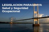 LEGISLACION PARAGUAYA Salud y Seguridad Ocupacional.