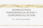 HOMEOSTASIS TERMORREGULACION Y OSMORREGULACION Lic. Carla Gonzales.