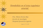 Trombolisis en el ictus isquémico arterial. Dra. Marta Ferrero Ros Sección de neurología Hospital General de Segovia Segovia, 27-11-2007.