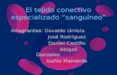 El tejido conectivo especializado “sanguíneo” Integrantes: Osvaldo Urriola José Rodríguez Daniel Castillo Abigail Gonzales Isahis Malverde.