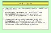 BOLILLA 10 RECEPTORES: Características Tipos de Receptores. HORMONAS: SU PAPEL EN LA REGULACION METABOLICA. Características generales. Clasificación. Propiedades.