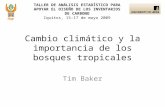 TALLER DE ANÁLISIS ESTADÍSTICO PARA APOYAR EL DISEÑO DE LOS INVENTARIOS DE CARBONO Iquitos, 15-17 de mayo 2009 Tim Baker Cambio climático y la importancia.