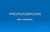 PROPIOCEPCION MR1 HUAPAYA. DEFINICION  Percepción consciente e inconsciente de movimientos en articulaciones y en el cuerpo, así como de la posición.