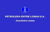 PETROLERA ENTRE LOMAS S.A. Area Entre Lomas. ubicación Provincia de Río Negro Provincia de Neuquén Buenos Aires Area Entre Lomas.