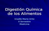 Digestión Química de los Alimentos Giselle Marie Ortiz II Semestre Medicina.