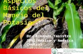 Aspectos Básicos del Manejo del Potasio Dr. Armando Tasistro IPNI-México y América Central atasistro@ipni.net.