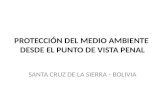 PROTECCIÓN DEL MEDIO AMBIENTE DESDE EL PUNTO DE VISTA PENAL SANTA CRUZ DE LA SIERRA - BOLIVIA.