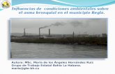 Influencias de condiciones ambientales sobre el asma bronquial en el municipio Regla. Autora: MSc. María de los Ángeles Hernández Ruiz Grupo de Trabajo.