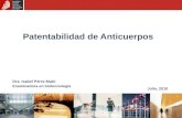 Patentabilidad de Anticuerpos Dra. Isabel Pérez-Mato Examinadora en biotecnología Julio, 2010.