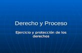 Derecho y Proceso Ejercicio y protección de los derechos.